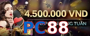 PC88