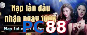PC88
