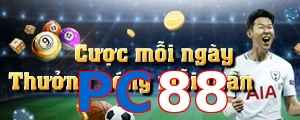 PC88